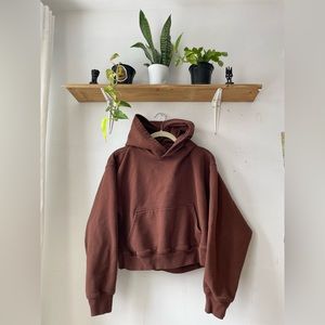 Aritzia Cozy Fleece Hoodie